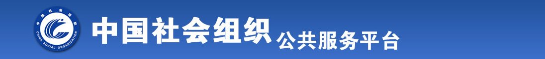 男人用鸡鸡插美女的免费软件全国社会组织信息查询